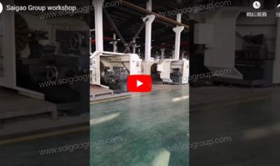 Saigao Group Workshop